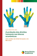 A prote??o dos direitos humanos nos blocos econ?micos