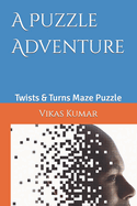 A Puzzle Adventure: Twists & Turns Maze Puzzle