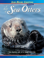 A Raft of Sea Otters: The Playful Life of a Furry Survivor
