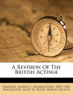 A Revision of the British Actini