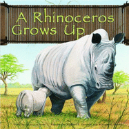 A Rhinoceros Grows Up