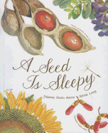 A Seed Is Sleepy