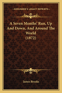 A Seven Months' Run, Up And Down, And Around The World (1872)