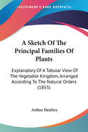 A Sketch Of The Principal Families Of Plants: Explanatory Of A Tabular View Of The Vegetable Kingdom, Arranged According To The Natural Orders (1855)