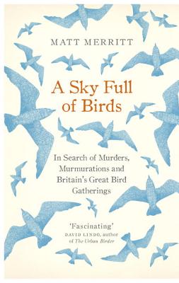A Sky Full of Birds - Merritt, Matt