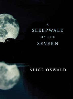A Sleepwalk on the Severn - Oswald, Alice