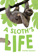 A Sloth's Life: Fluency 7