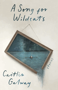 A Song for Wildcats: Stories