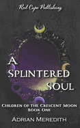 A Splintered Soul