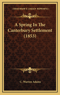 A Spring in the Canterbury Settlement (1853)