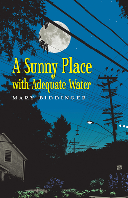 A Sunny Place with Adequate Water - Biddinger, Mary