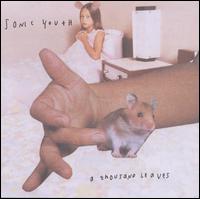 A Thousand Leaves - Sonic Youth