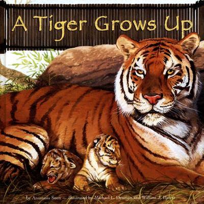 A Tiger Grows Up - Suen, Anastasia