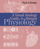 A Visual Analogy Guide to Human Physiology