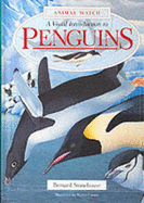 A Visual Introduction to Penguins - Stonehouse, Bernard