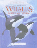 A Visual Introduction to Whales