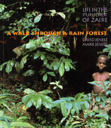 A Walk Through the Rain Forest