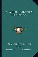 A White Umbrella In Mexico