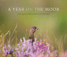 A Year on the Moor