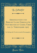 Abhandlungen Und Bericht Li Des Vereins F?r Naturkunde Zu Cassel ?ber Das 71. Vereinsjahr 1907: Im Auftrage Des Vereinsvorstandes Herausgegeben (Classic Reprint)