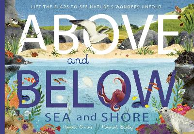 Above and Below: Sea and Shore: Lift the flaps to see nature's wonders unfold - Evans, Harriet, and Bailey, Hannah