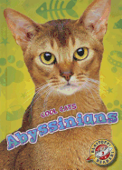 Abyssinians