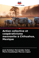 Action collective et coop?rativisme mennonite ? Chihuahua, Mexique