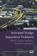 Activated Sludge Separation Problems: Theory, Control Measures, Practical Experiences