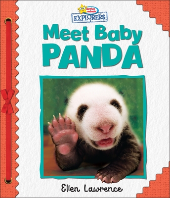 Active Minds Explorers: Meet Baby Panda - Lawrence, Ellen