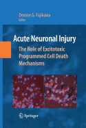 Acute Neuronal Injury: The Role of Excitotoxic Programmed Cell Death Mechanisms