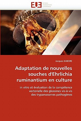 Adaptation de Nouvelles Souches d''ehrlichia Ruminantium En Culture - Kabore-J