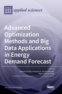 Advanced Optimization Methods and Big Data Applications in Energy Demand Forecast