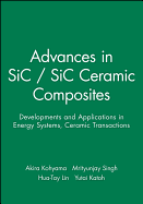 Advances in Sic / Sic Ceramic Composites: Developments and Applications in Energy Systems