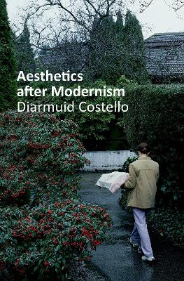 Aesthetics After Modernism - Costello, Diarmuid