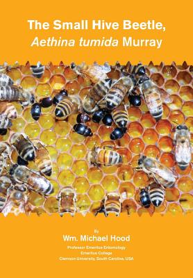 Aethina Tumida Murray Small Hive Beetle - Hood, Michael