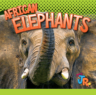 African Elephants