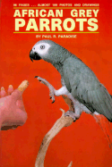 African Grey Parrots(oop) - Paradise, Paul