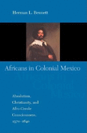 Africans in Colonial Mexico: Absolutism, Christianity, and Afro-Creole Consciousness, 1570-1640