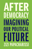 After Democracy: Imagining Our Political Future