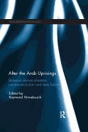 After the Arab Uprisings: Between Democratization, Counter-Revolution and State Failure