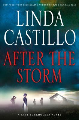 After the Storm - Castillo, Linda