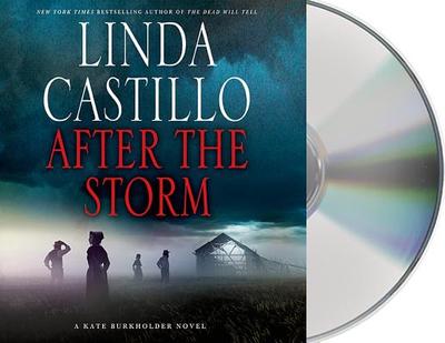 After the Storm - Castillo, Linda, and McInerney, Kathleen (Read by)