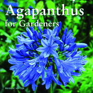 Agapanthus for Gardeners
