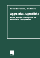 Aggressive Jugendliche: Fakten, Theorien, Hintergrunde Und Methodische Zugangsweisen