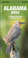 Alabama Birds: An Introduction to Familiar Species