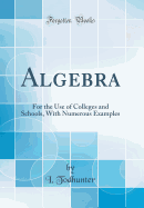 Algebra: For the Use of Colleges and Schools, with Numerous Examples (Classic Reprint)