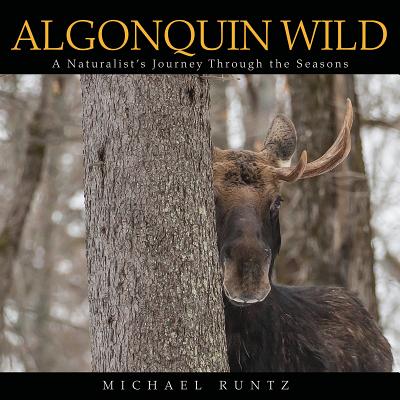 Algonquin Wild: A Naturalist's Journey Through the Seasons - Runtz, Michael