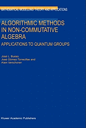 Algorithmic Methods in Non-Commutative Algebra: Applications to Quantum Groups