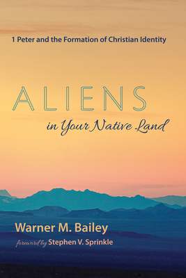 Aliens in Your Native Land: 1 Peter and the Formation of Christian Identity - Bailey, Warner M, and Sprinkle, Stephen V (Foreword by)