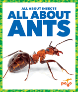 All about Ants